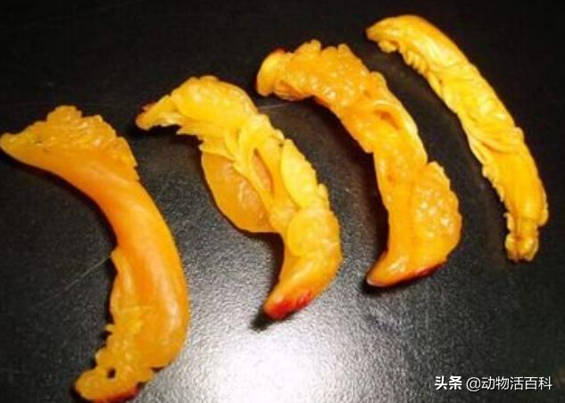 鹤顶红是哪里来的,鹤顶红的未解之谜