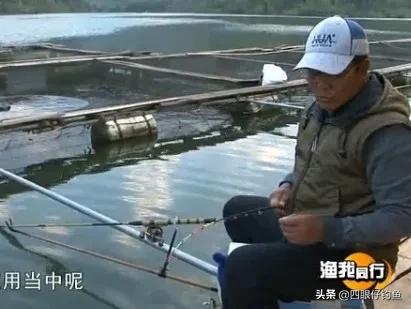 化绍新终身垂钓大师,钓鱼大师易哲