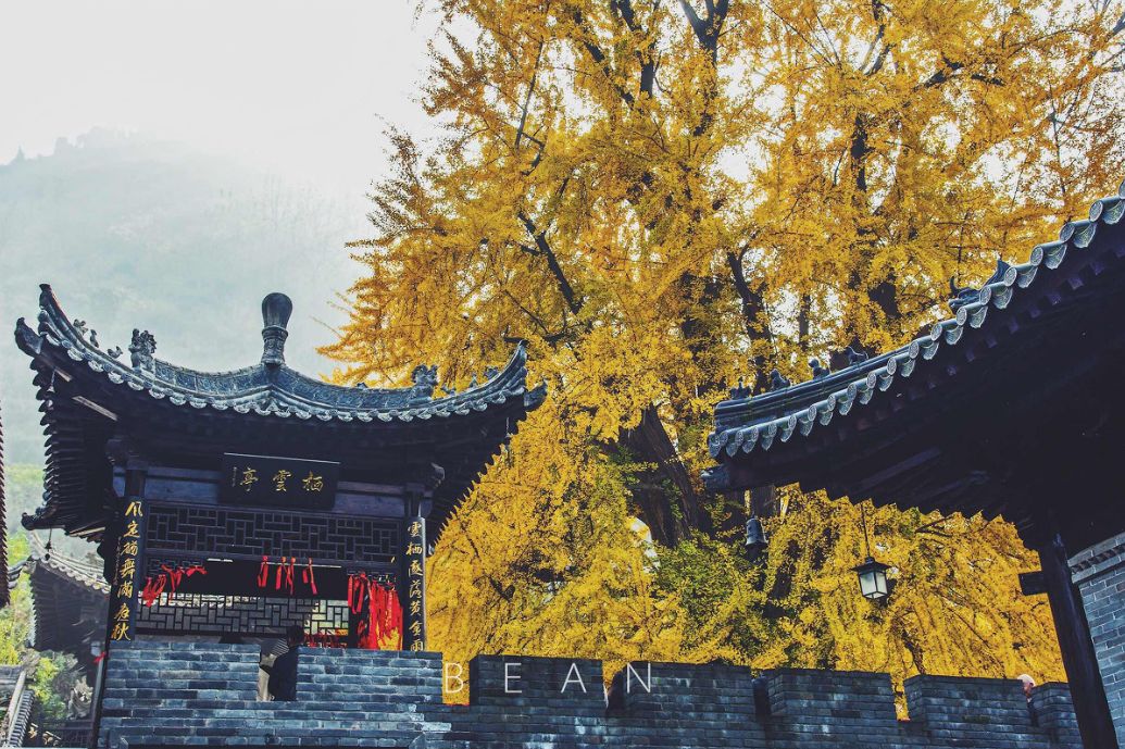 2020旅行时间表,2021年旅行时刻表出炉