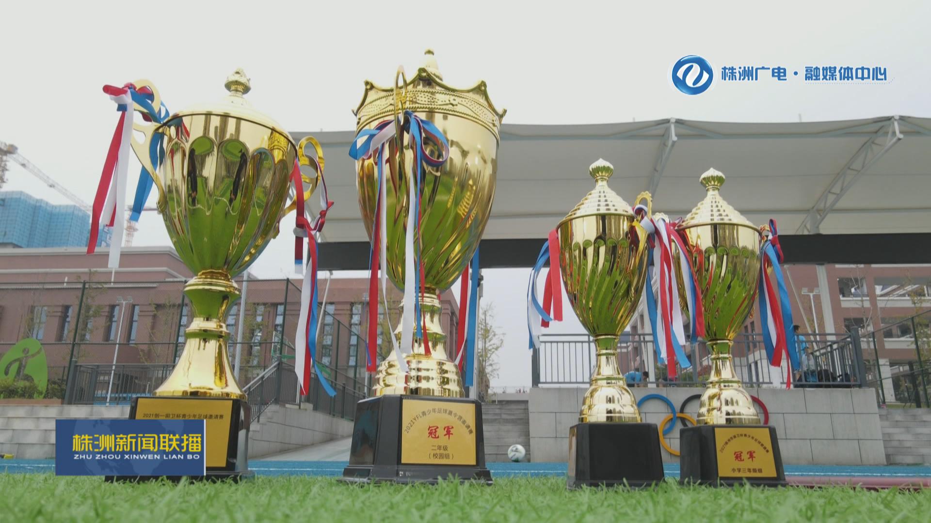 株洲体育特色学校排名,株洲市有哪些院校