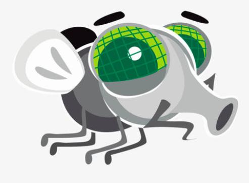 苍蝇什么时候才能被彻底的灭绝,苍蝇消失了对地球有什么影响