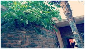 「散文随笔」岳父大人你慢些走……