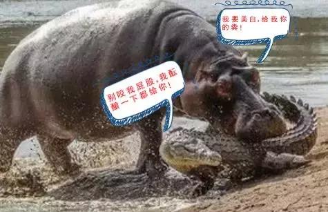 女性美白抗衰老秘诀,为什么中国女生重视美白