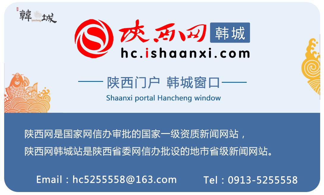 陕钢集团龙钢公司环保投资,陕钢龙钢公司保卫部