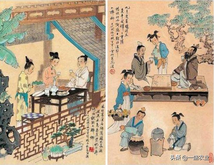 俗语为何说茶满欺人酒满敬人,茶满欺人酒满敬人蕴含着哪些深意