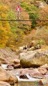 游钓篇｜渔在熊猫故里