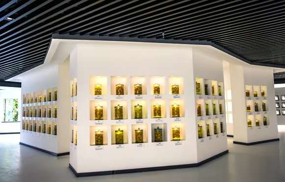 重庆这个县为柑橘“立档建馆”