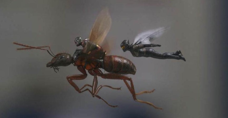 2018年最值得回味的电影盘点,2018年电影盘点