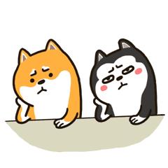 宅家不出门为什么会生病,青春期孩子宅家里不肯出门怎么办