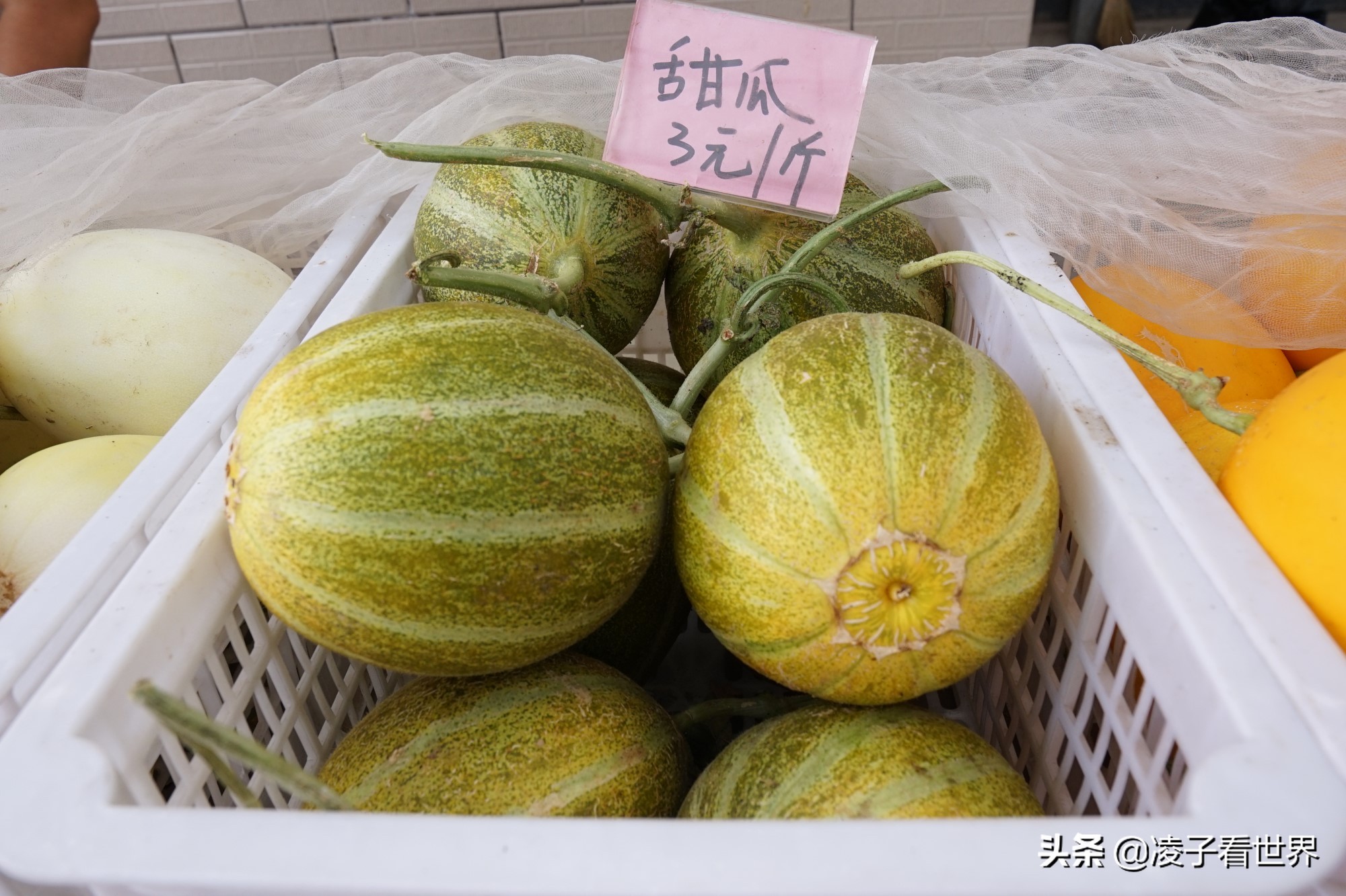 鐭冲搴勬収鐏簞鍥ソ鐜╁悧鍊煎緱鍘诲悧,鐭冲搴勬収鐏簞鍥檮杩戦噰鎽樺洯