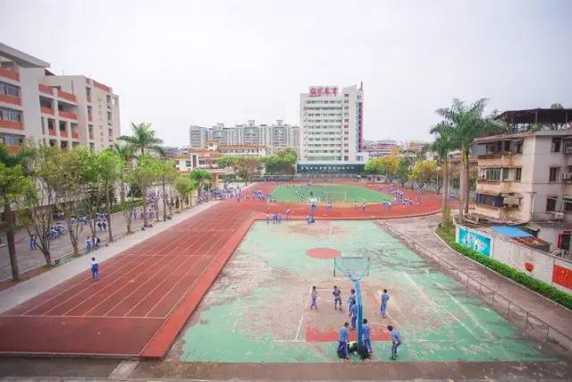 遇见│学艺中学，走过的日子里，想回到那段时光