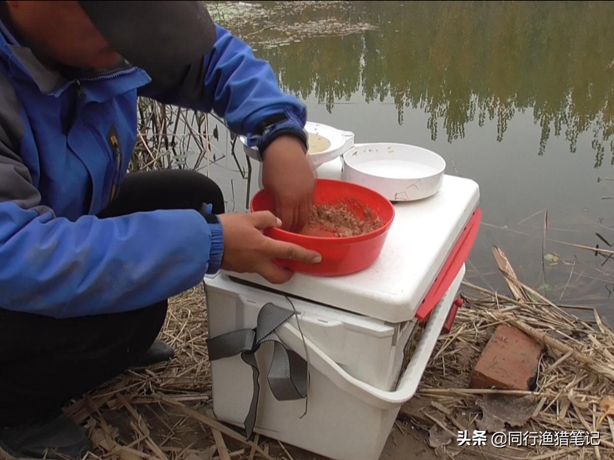 如何开出有弹性蓬松饱满的拉饵呢,拉饵怎么开才能拉出饱满的饵团