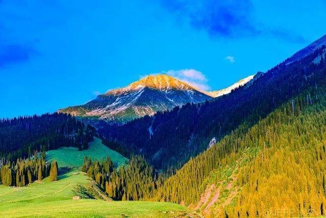 为什么说伊犁是一片净土,伊犁最后的一片净土