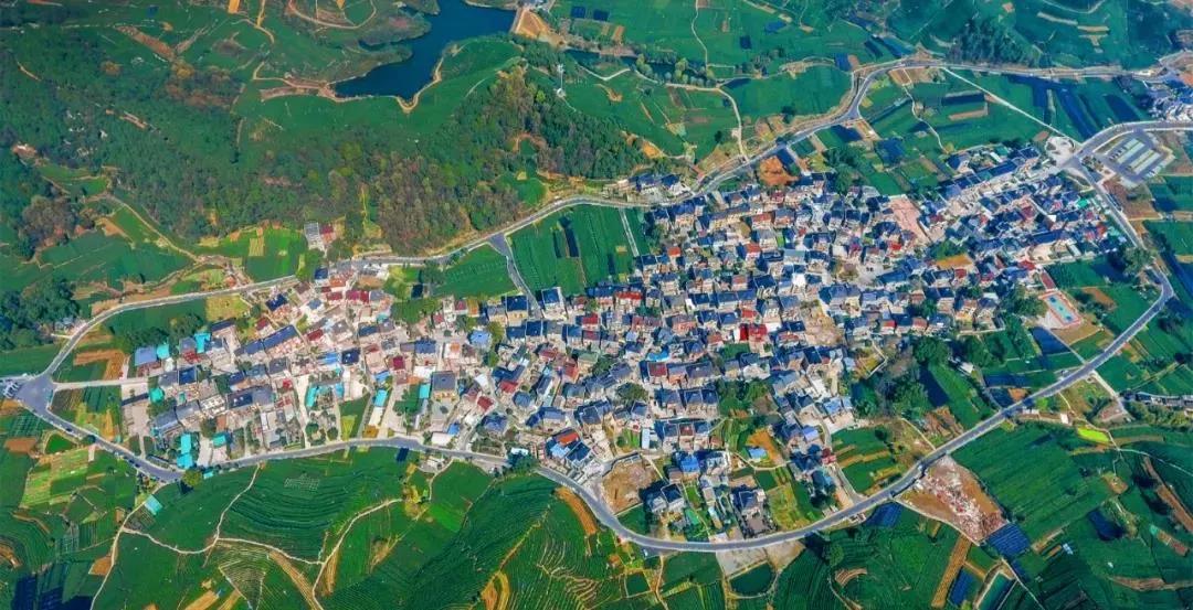 杭州高国飞公示,高国飞西湖区