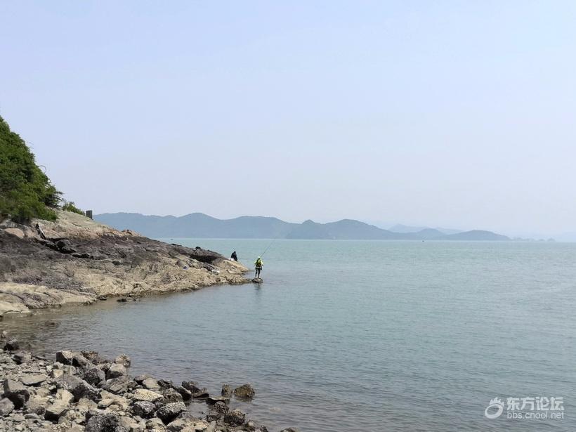 奉化海鲜自助餐有没有帝王蟹,奉化海鲜餐推荐