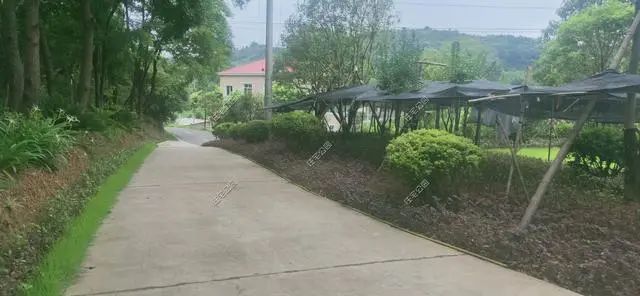 湖南陈先生30万自建农村小平房，有假山有菜园，占地1亩就是爽