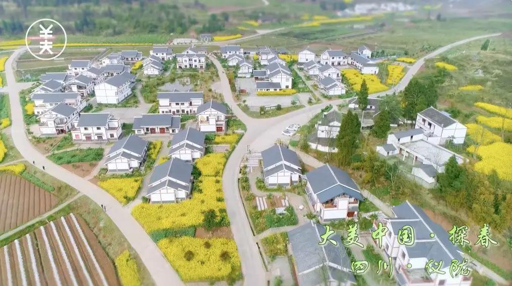 仪陇县新闻联播,仪陇县新闻联播视频