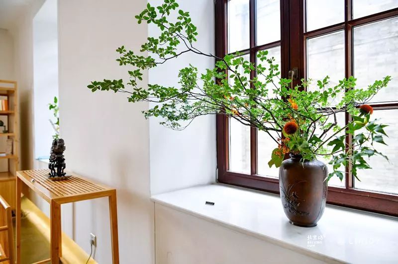 网红都来打卡了,网红都来打卡的奶茶