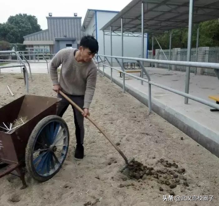 武汉低调神秘的高校,武汉低调的大学
