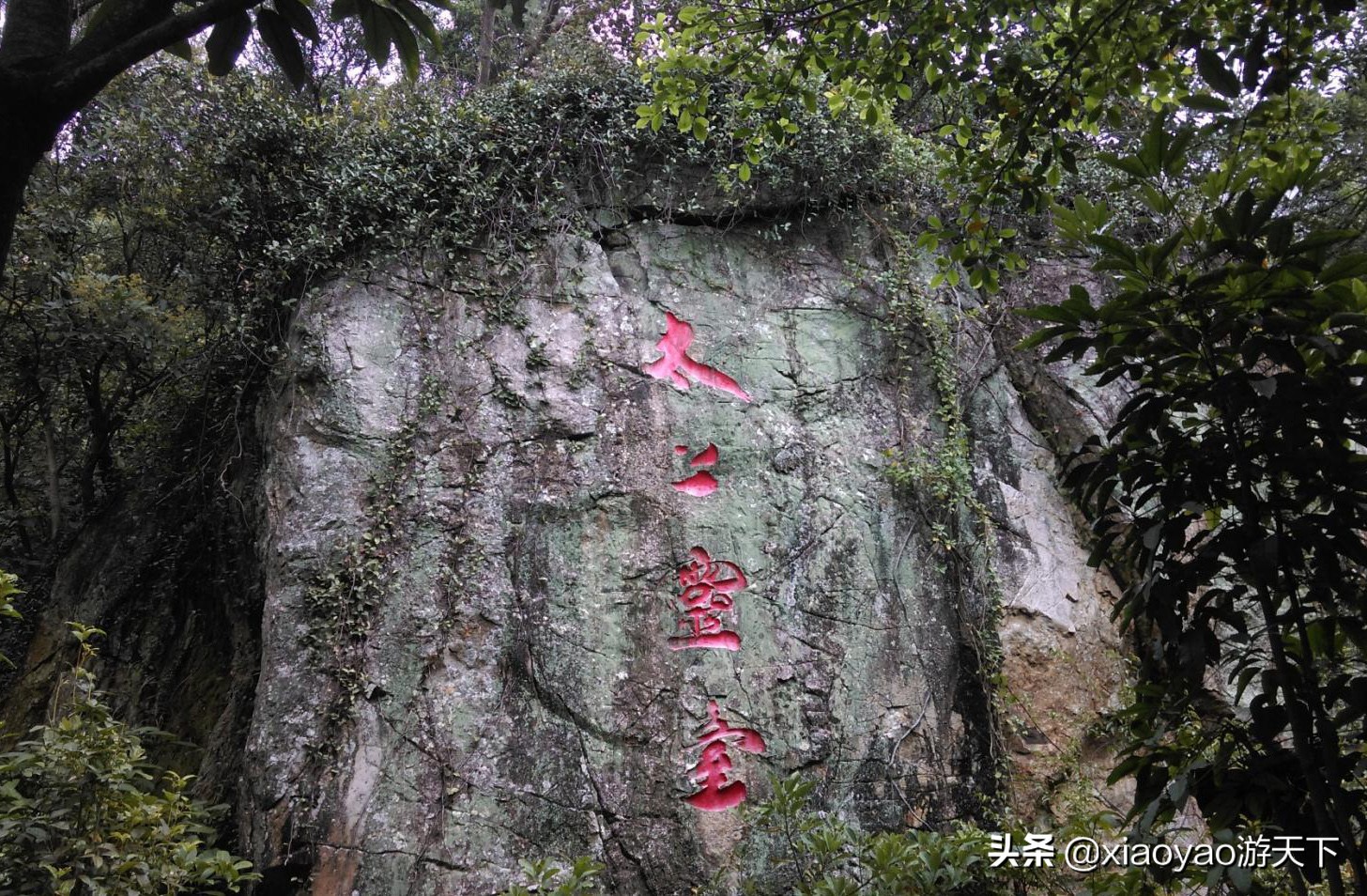 福建石牛山门票多少钱一张,福建漳州火山岛门票多少钱