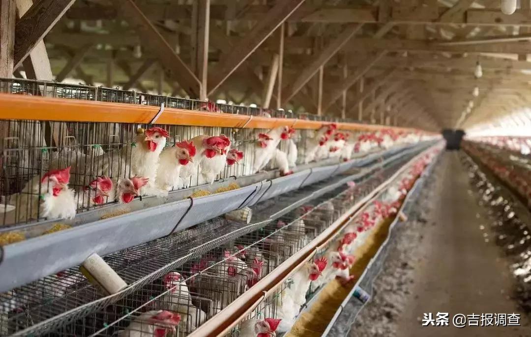 有关如何实现乡村振兴的范文,如何使自己家乡实现乡村振兴目标