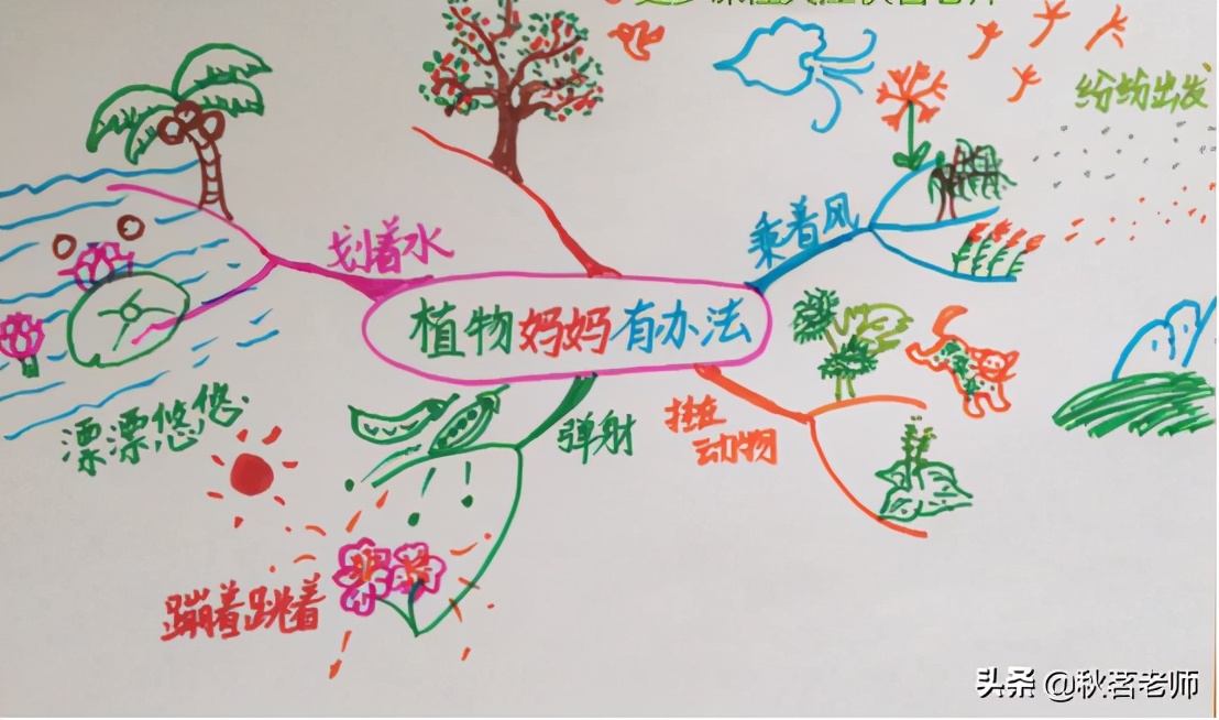 二年级植物妈妈有办法的思维导图,植物妈妈有办法课文思维导图