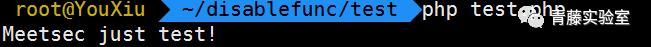 「青藤云安全研究」绕过php的disable_functions,中篇