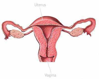 女性警惕妇科疾病,警惕妇科肿瘤