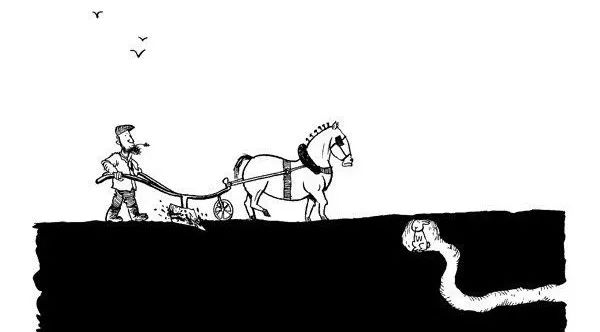 杀死一只兔子的预兆,杀死兔子的方法