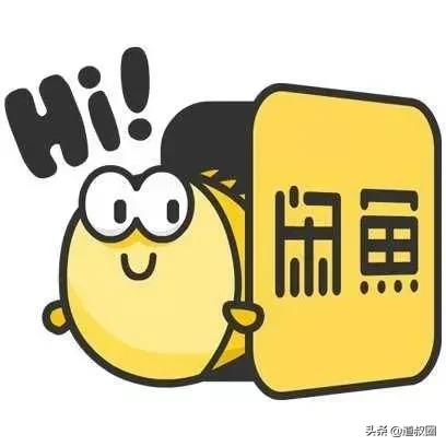 道叔圈|闲鱼小白指南