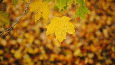 2022兰州招聘会时间和地点,春节过后兰州这30场招聘会等你来