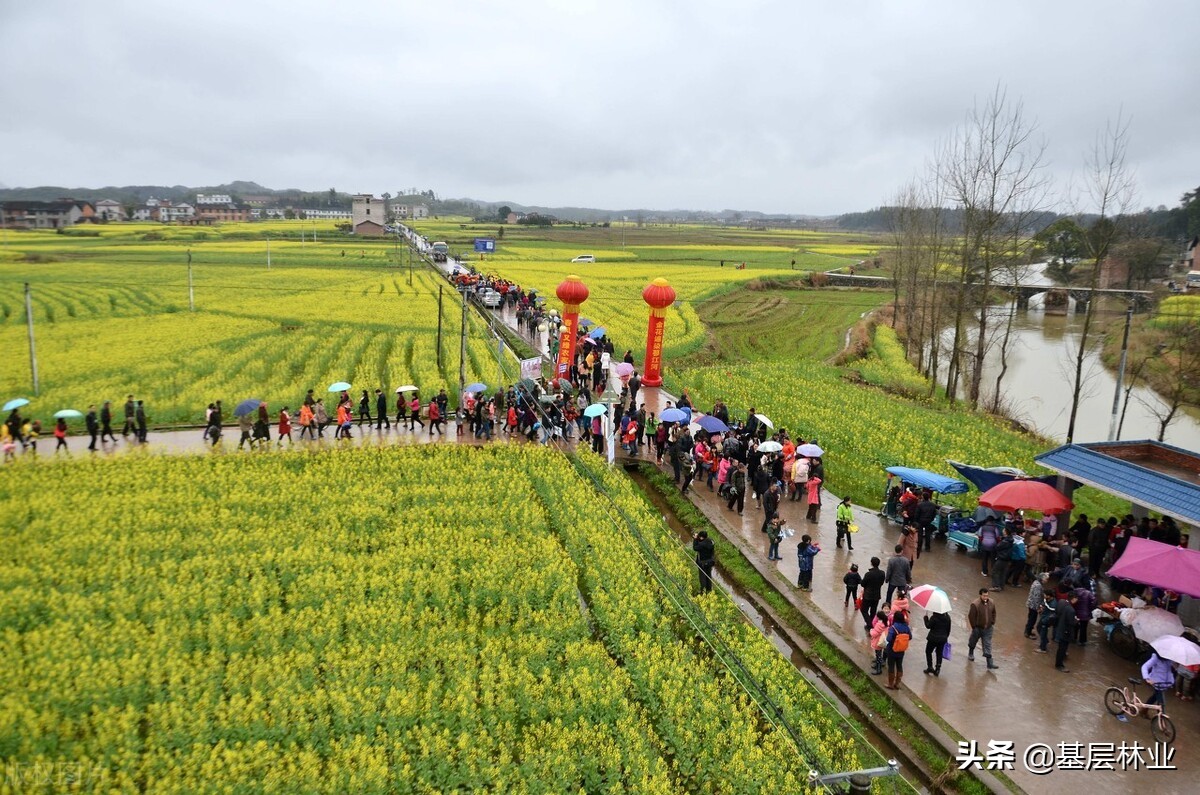 从区位极佳的百亩优质园地急寻有识之士加盟，谈投资农业的艰辛