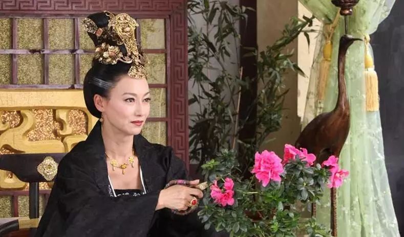 武则天神秘身世,武则天时期有自己的秘密势力吗