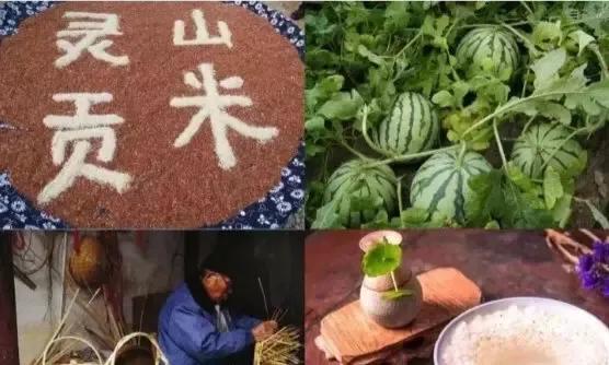 我的大本家灵山村