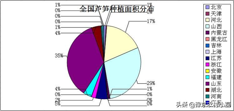 农产品白芦笋,被称之为蔬菜之王的白芦笋