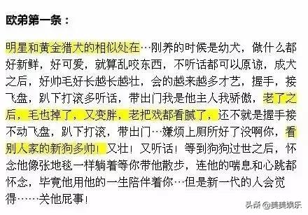 主持圈内幕有哪些,主持人因网上曝光被开除