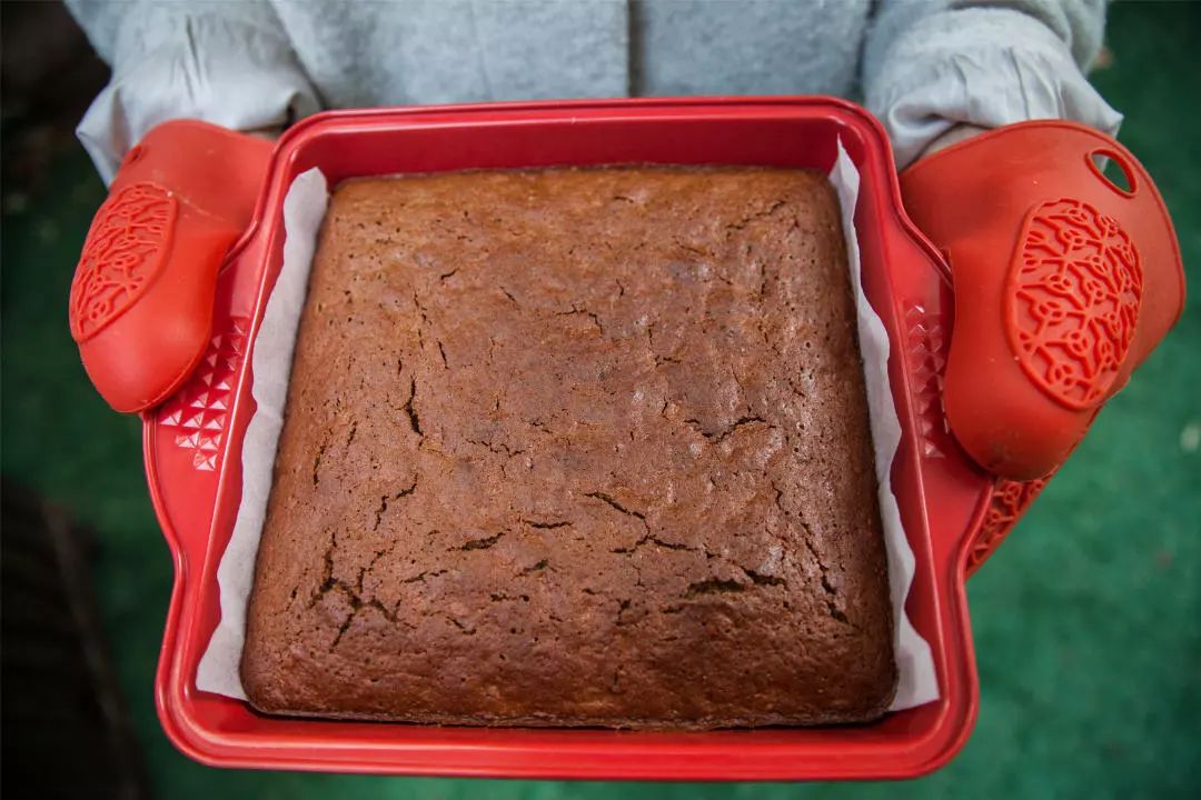 为什么说橘猫招财,橘猫干坏事