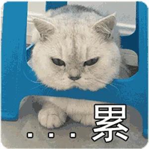 宜家接下来的准备,宜家配送准时