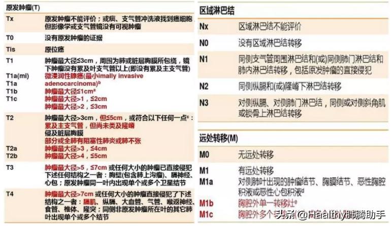 什么叫病理检查,肠镜病理检查是什么意思