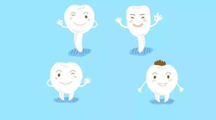 牙齿从松动到掉落要多长时间,牙齿松动严重又掉不了怎么办