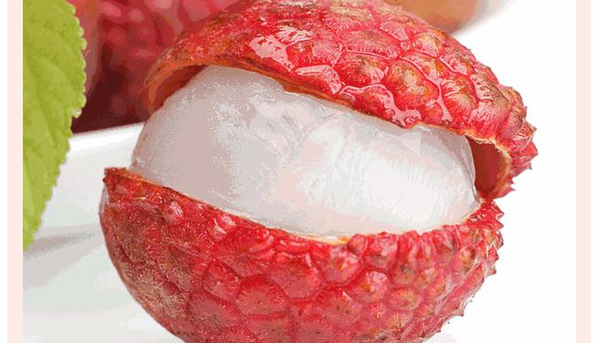 荔枝自由有多难实现?就连古代皇帝都为了它拼了老命(菲李漫画)