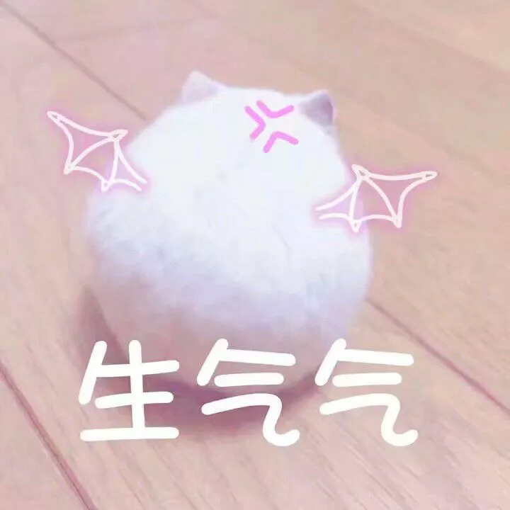 官方旗舰店都是假货吗,官方旗舰店东西为什么太假了