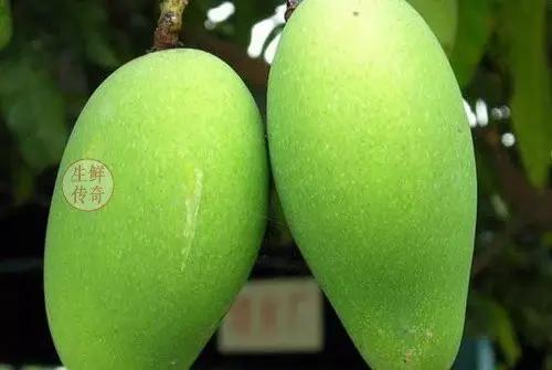 海南必吃十种水果图片名称,海南水果品种大全排名