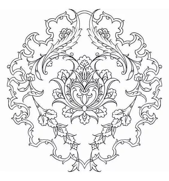 画画入门教程干货博主,基础入门画画必知