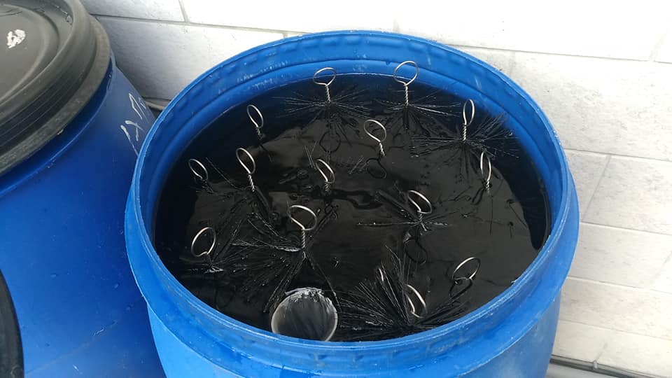 鱼菜共生加硝化细菌还是em菌,鱼菜共生的过滤系统和硝化系统