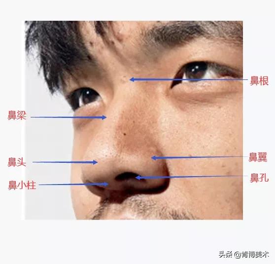鼻子看起来很塌又不塌,鼻子看着没立体感