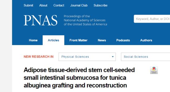 每5个中国男人,就有1个性勃起功能障碍,干细胞能否成为特效药?