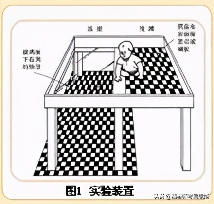 教招考试中常考的实验有哪些？