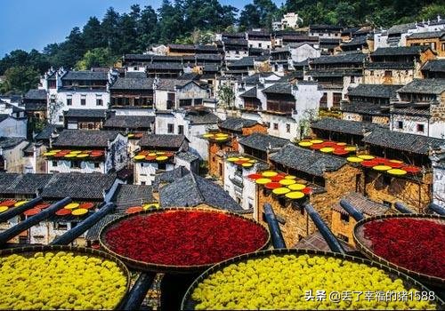 婺源最新旅游攻略自由行,厦门到婺源3天旅游攻略