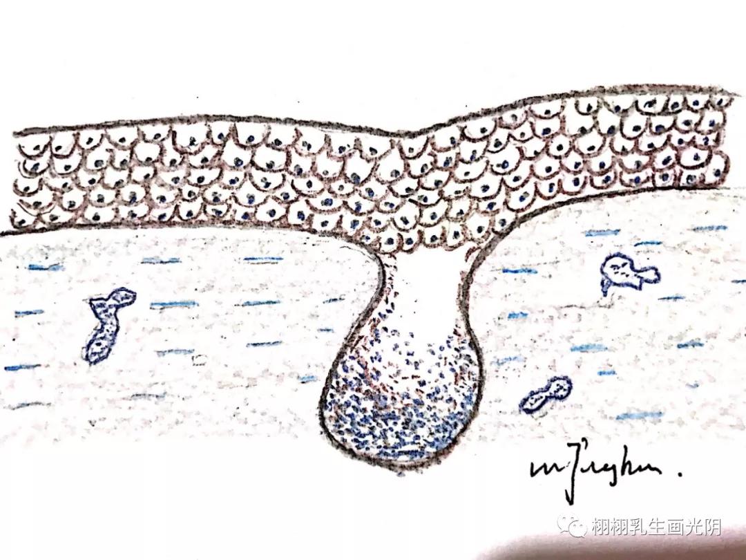 最贵的房子内部,最贵的房子内部图片